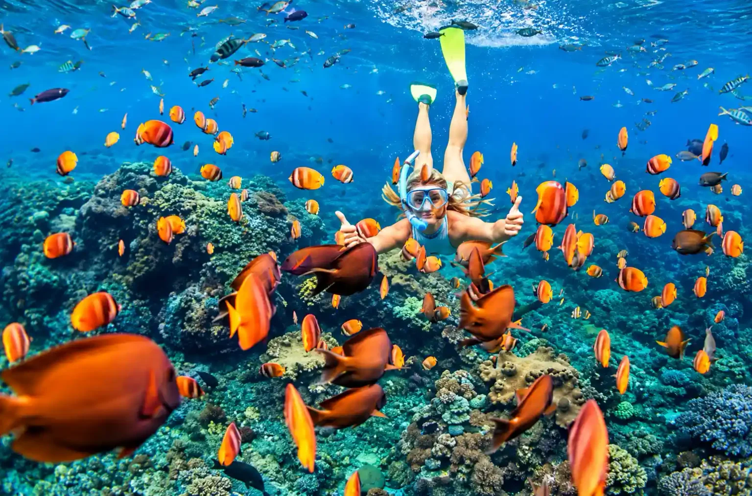 Clear tropical water for snorkeling